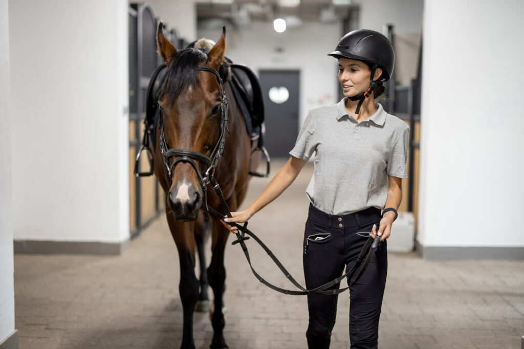 Horseman going with Thoroughbred horse near stable